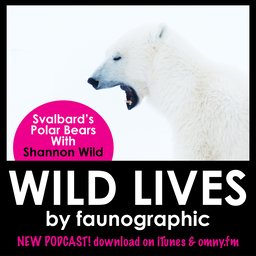 Shannon Wild & the Polar Bears of Svalbard