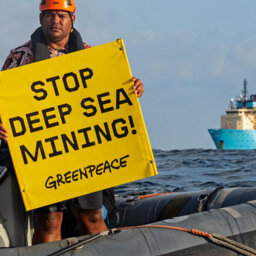 James Hita - Seabed Mining Campaigner for Greenpeace Aotearoa