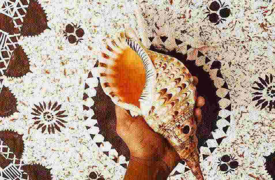 PMN Fiji Project Conchshell
