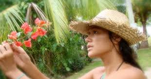 PMN Cooks Community Connection