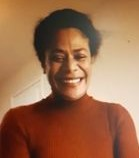 PMN Fiji Community connection