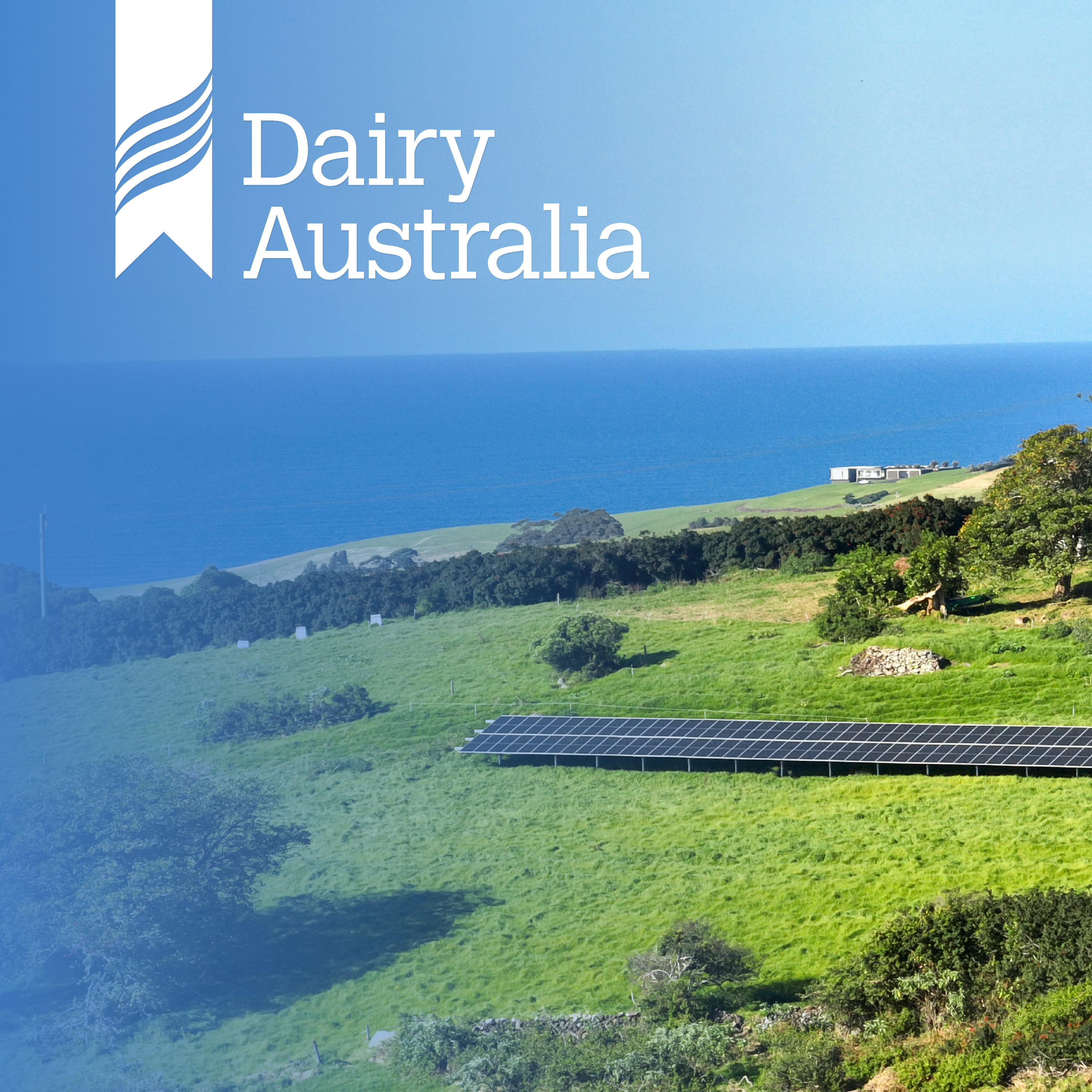 How efficient farm practices drive emission reductions