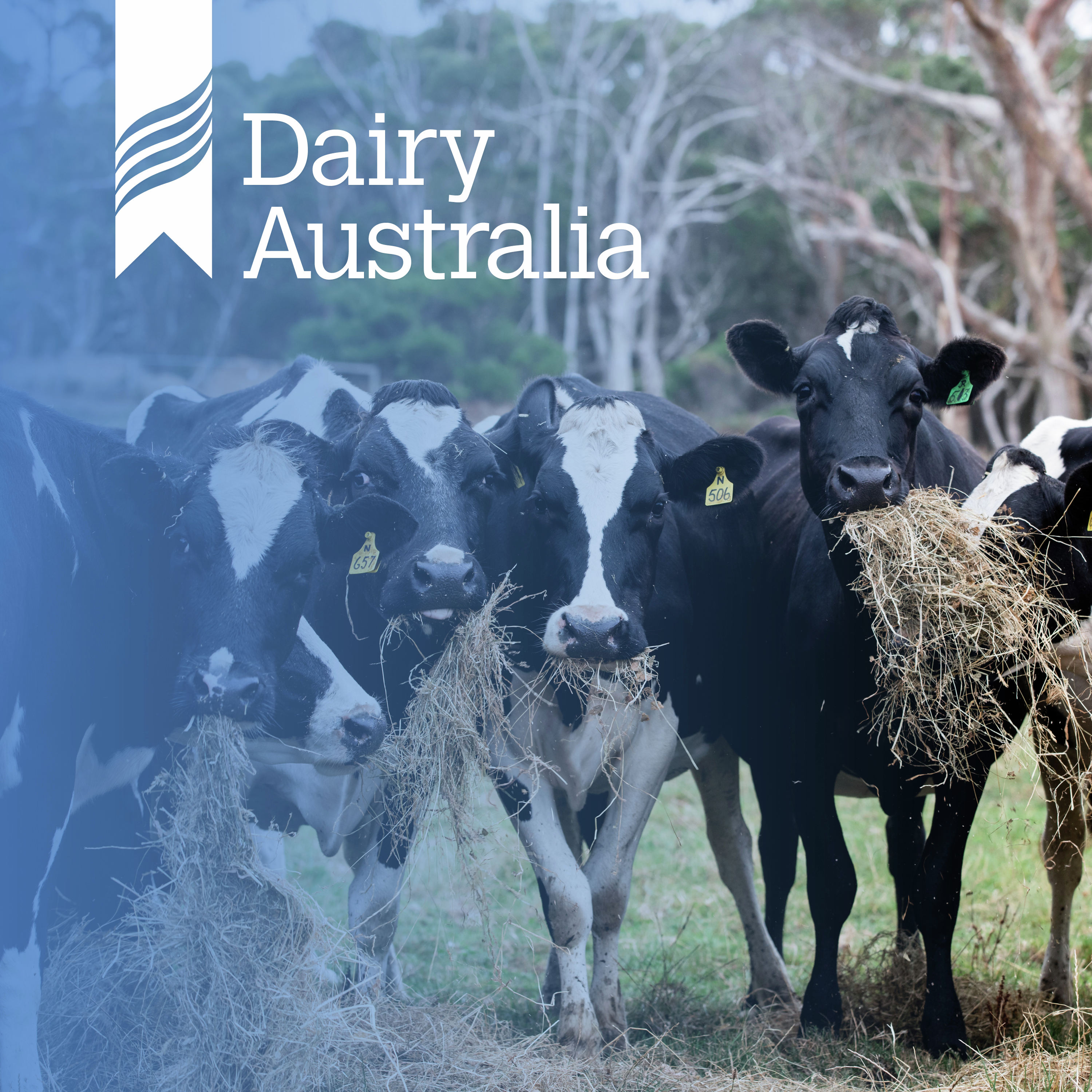Practical feeding tips for challenging conditions