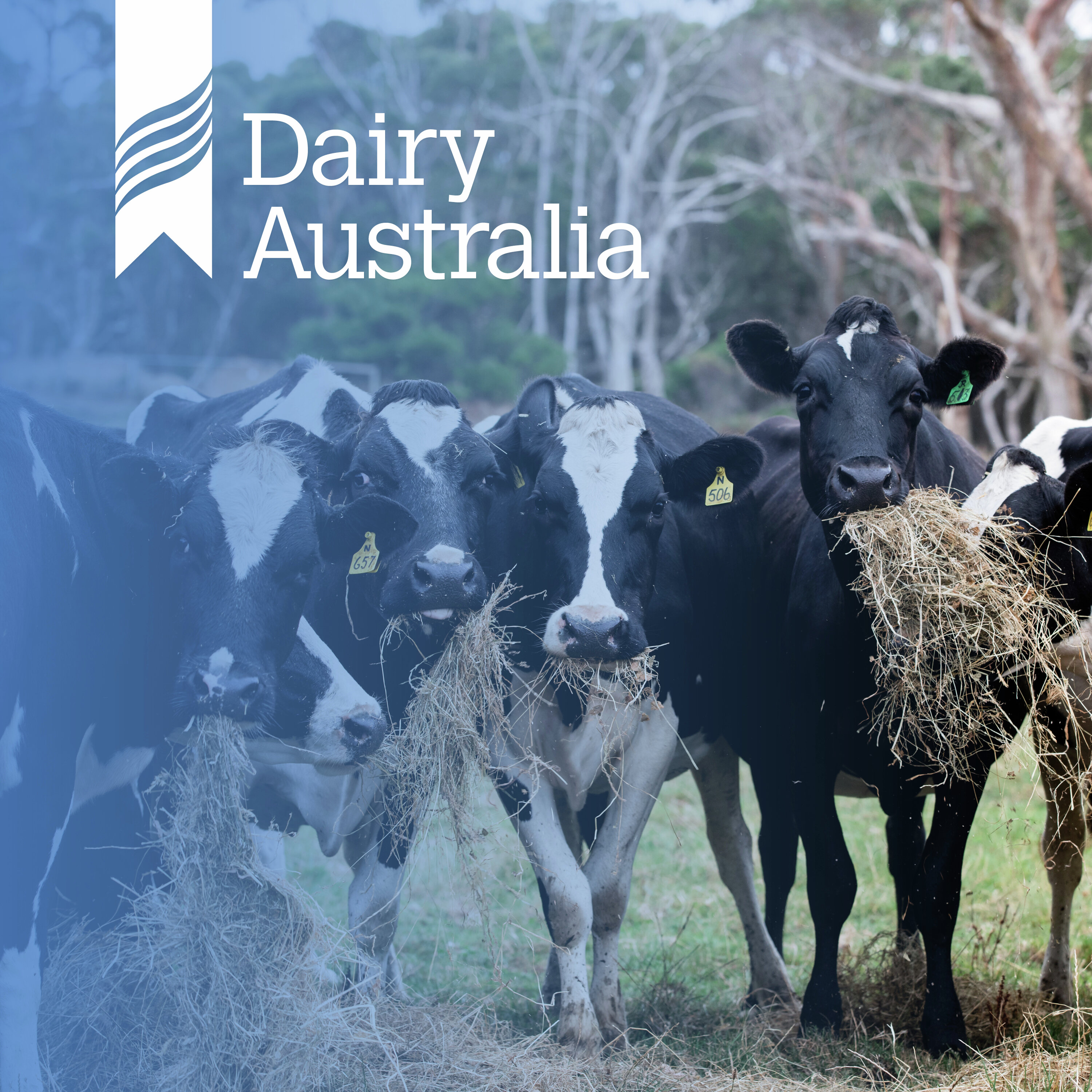 Practical feeding tips for challenging conditions Practical feeding tips for challenging conditions