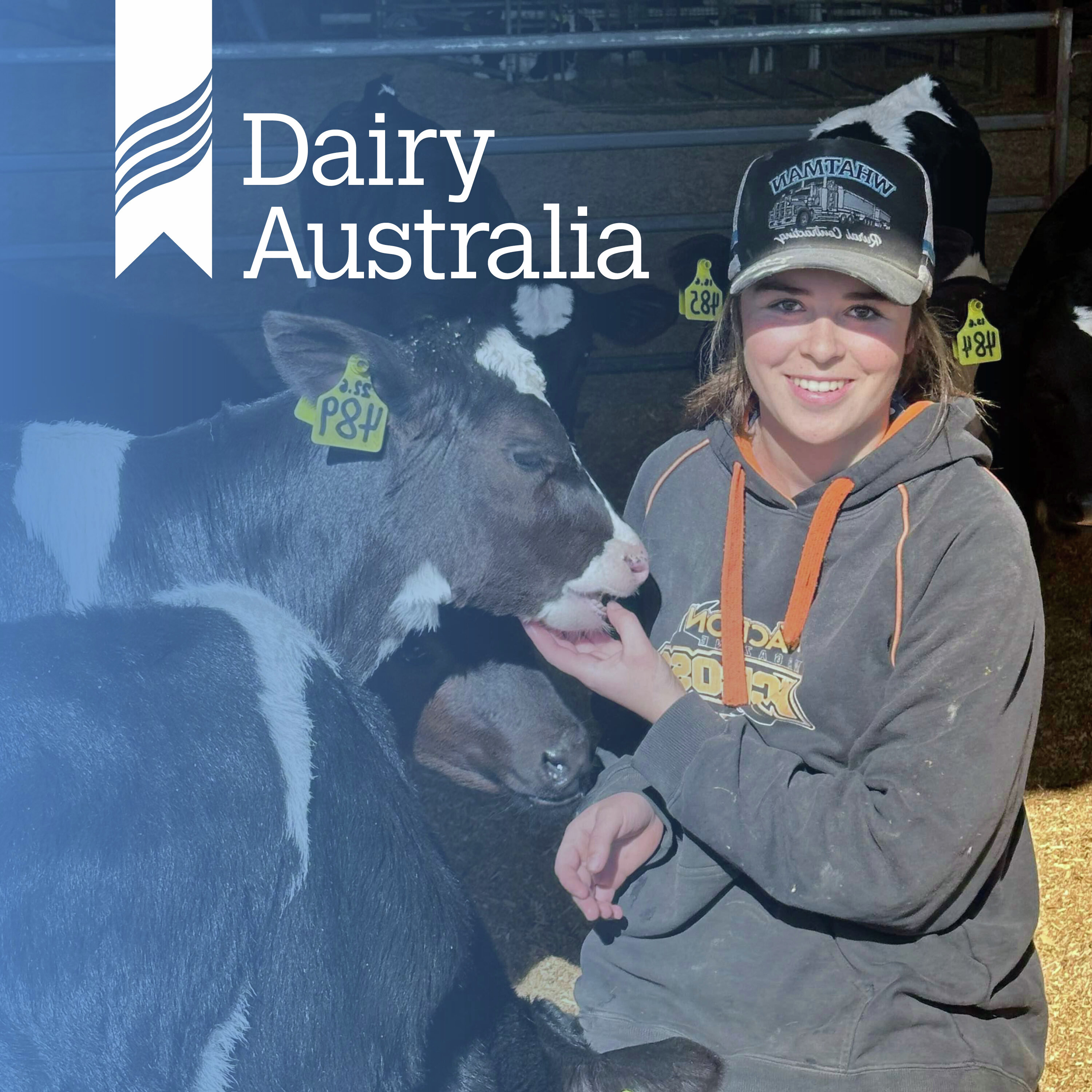 Dairy pathways: Transition from school to workforce episode artwork