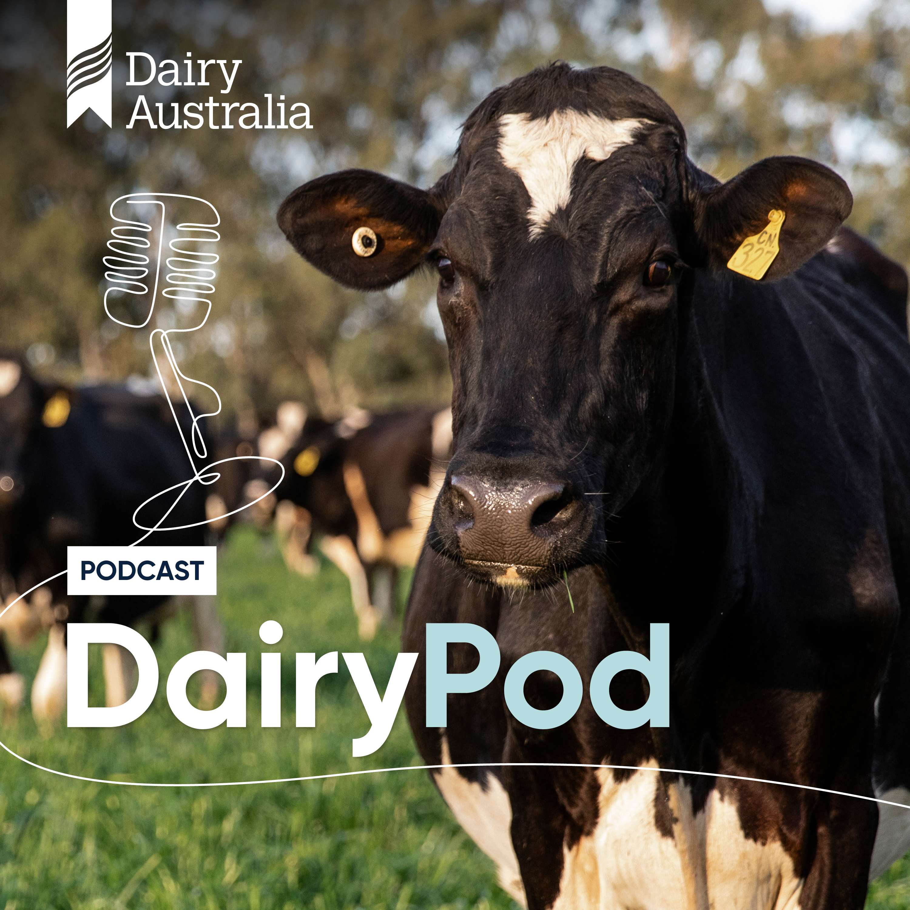 Australian dairy industry in focus episode artwork