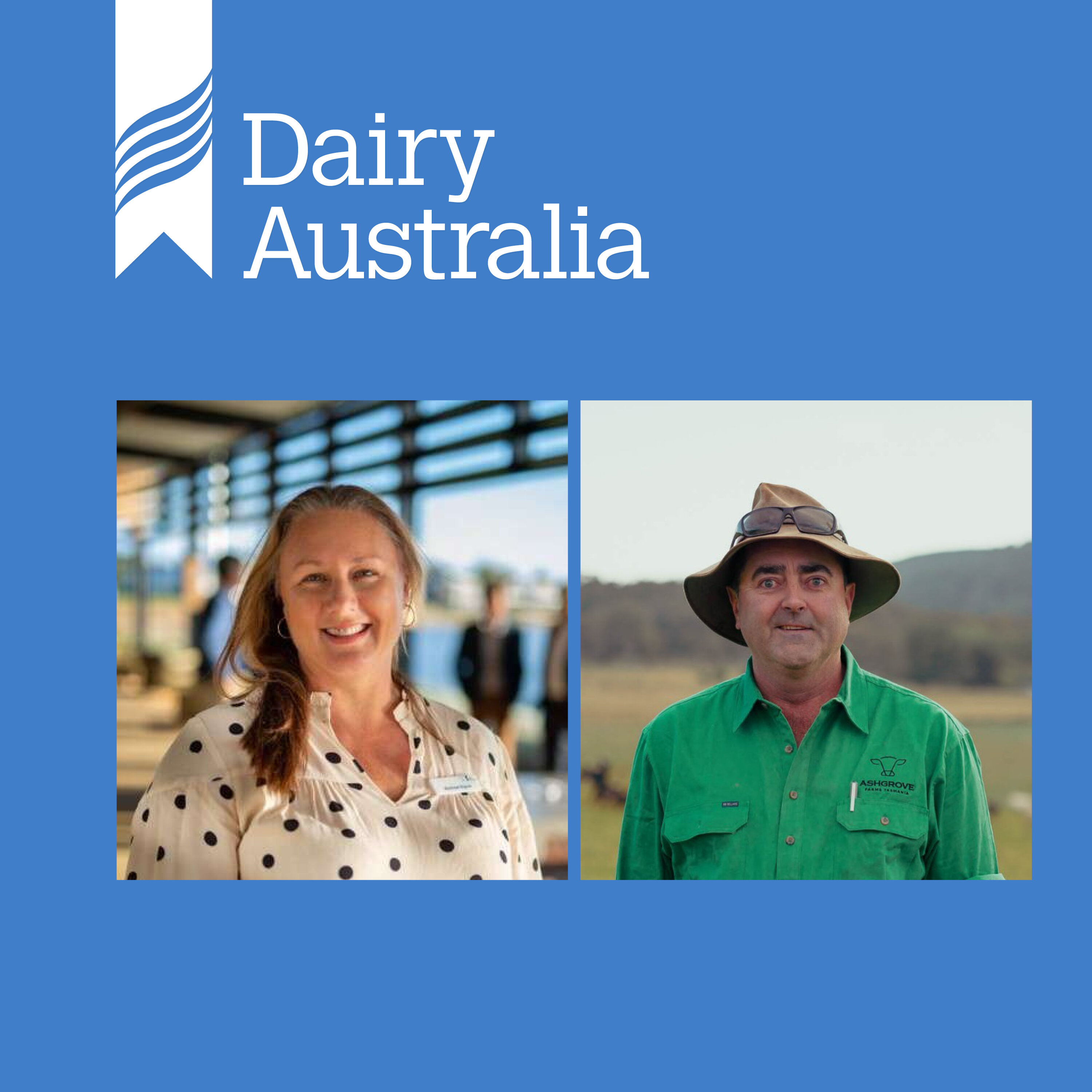 Farmers have their say: Dairy Australia’s five-year plan episode artwork