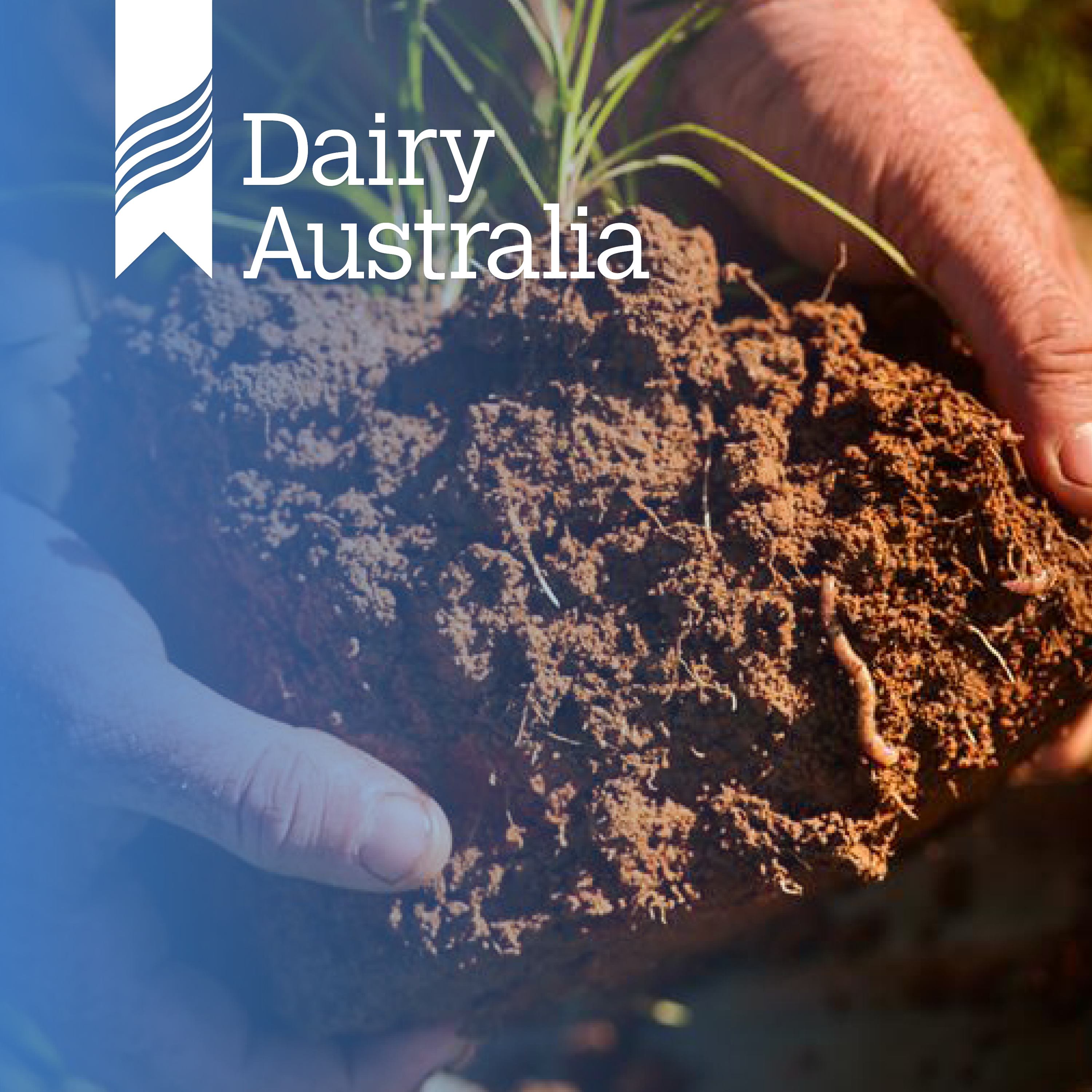 Soil nutrient management: What you need to know episode artwork