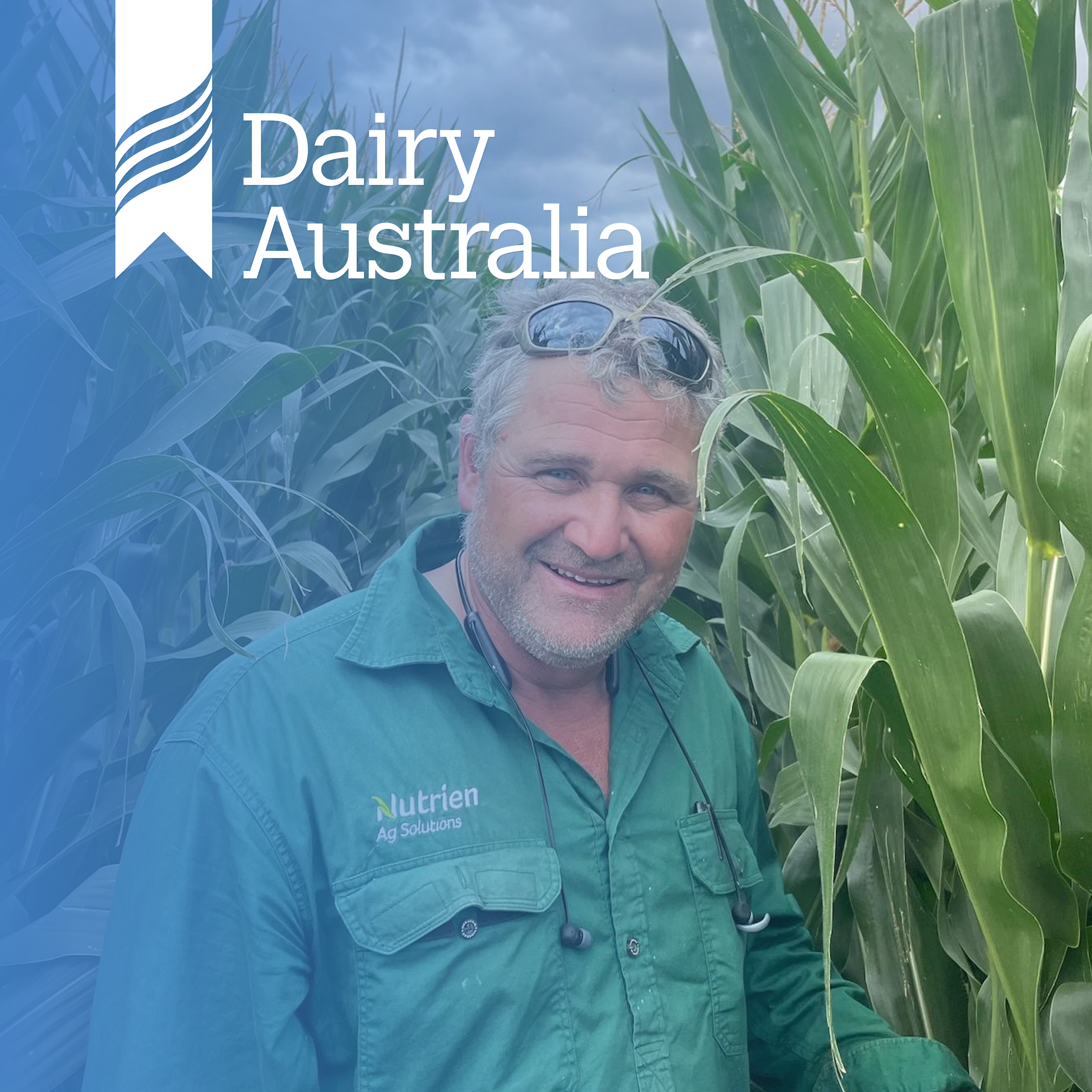 Fall Armyworm: Understanding and detection