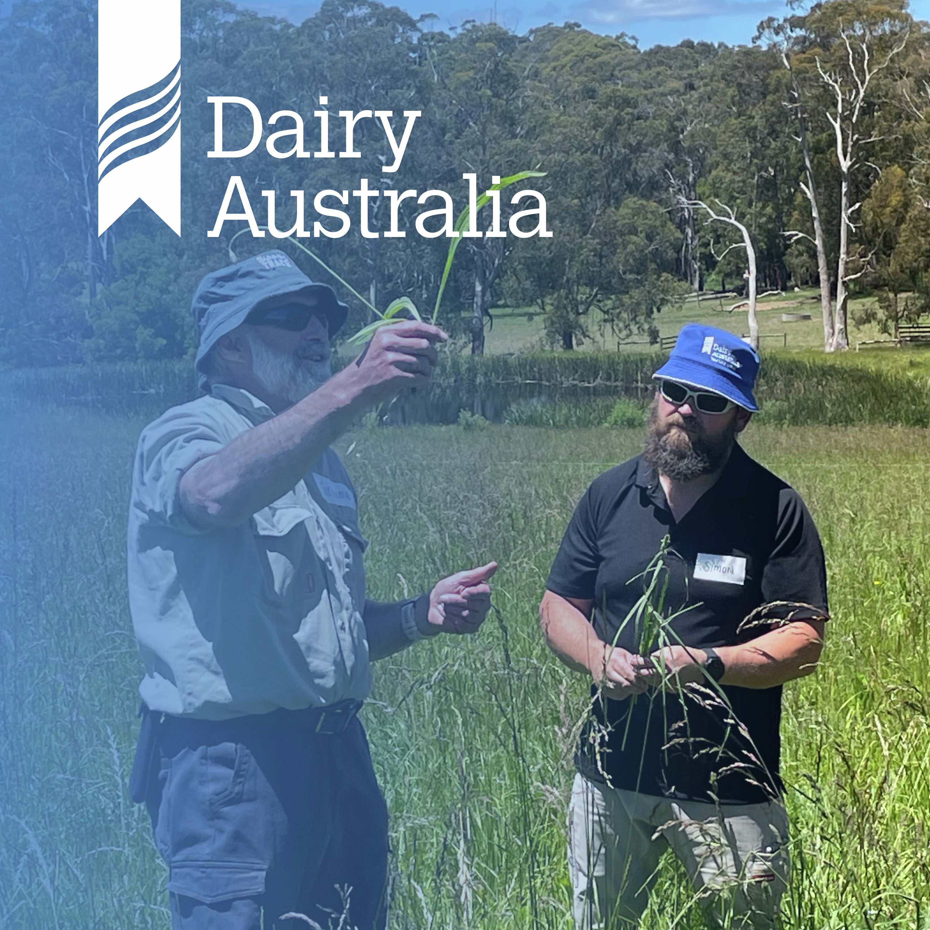 Improving soil health and function