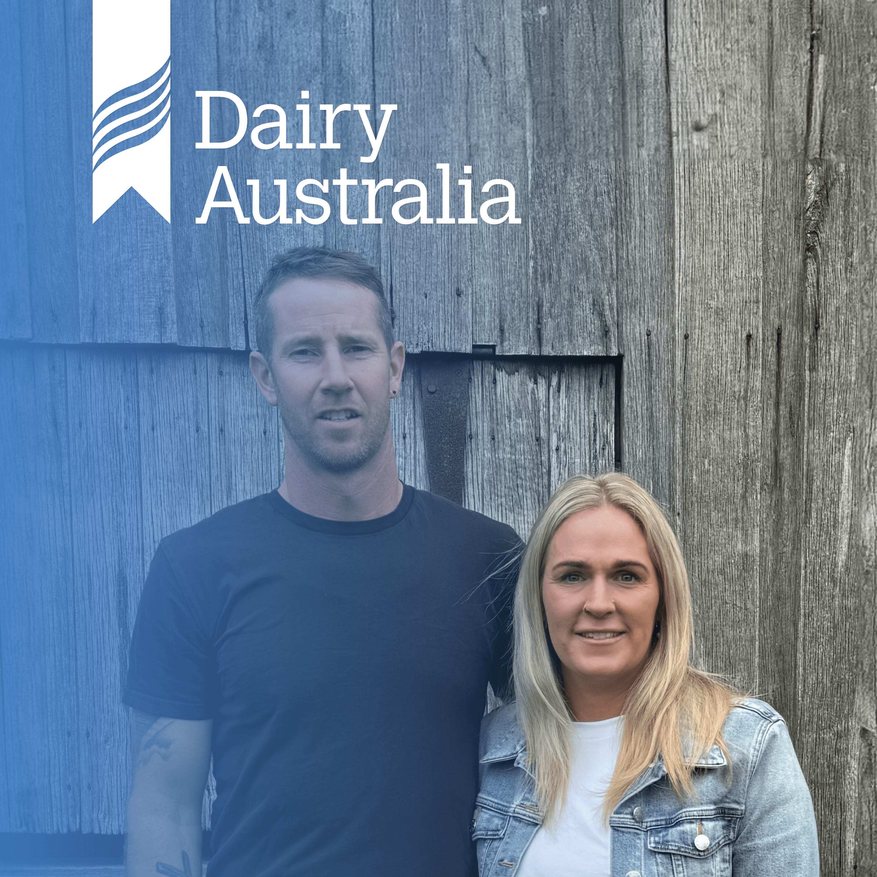 Building a dairy business: Learnings and reflection