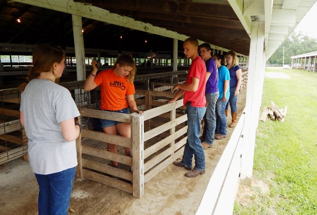 VCF News: Georgetown Fair; Ready for Saturday to Saturday Run episode artwork