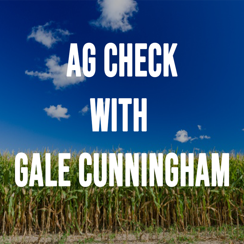 1415 08-13-26 Market Chat on Thursday with Gale