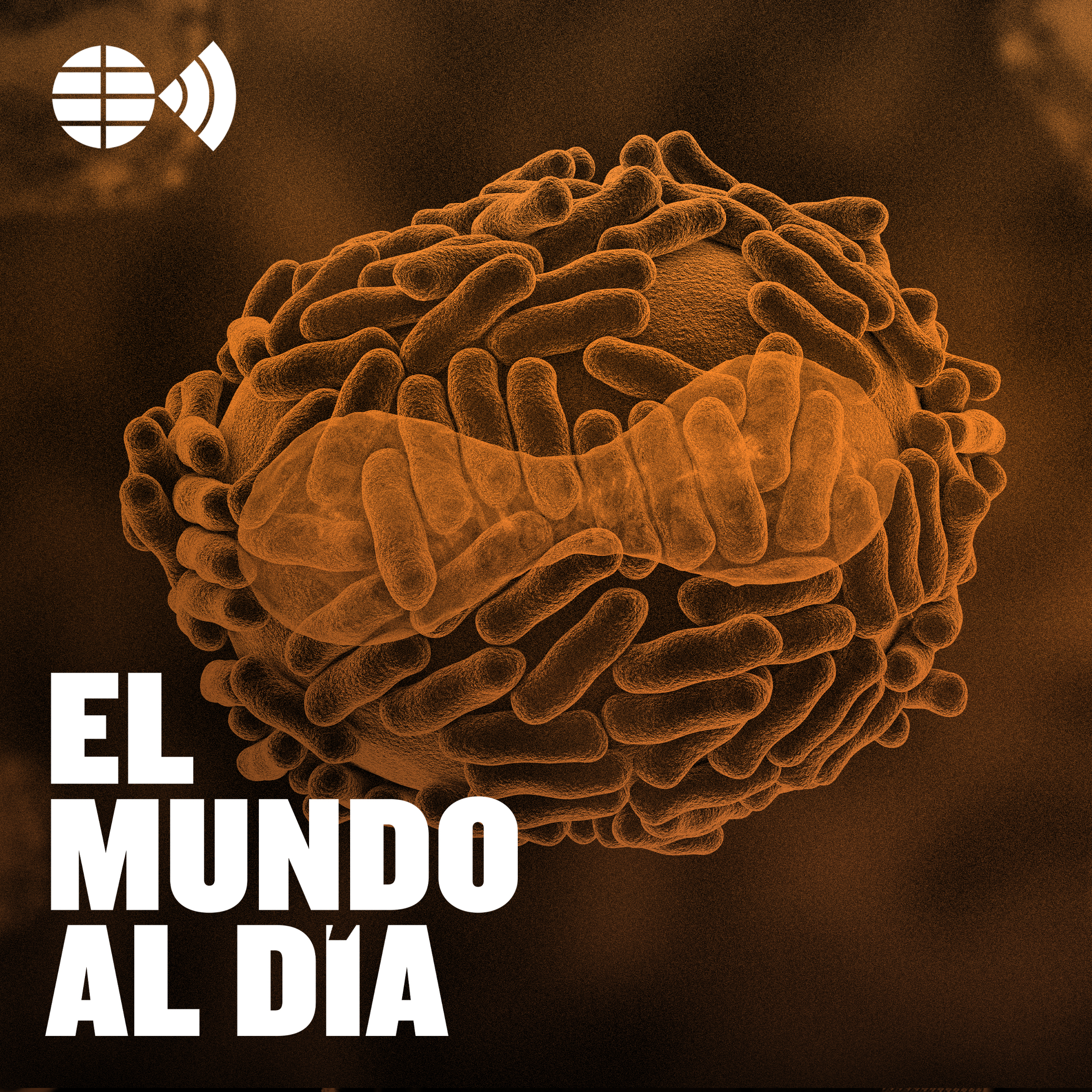 Viruela del mono:  qué es, cómo se contagia y cuáles son los síntomas