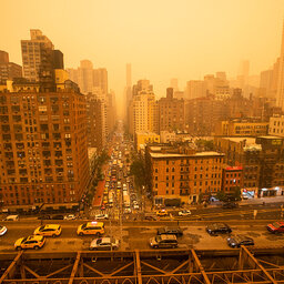 The air quality in New York City is atrocious