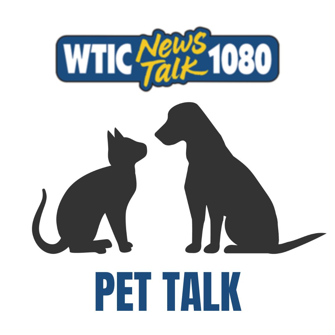 Pet Talk 3-16-24