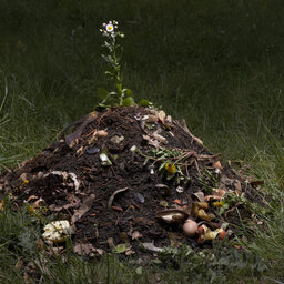 Compost your body instead of burying it?