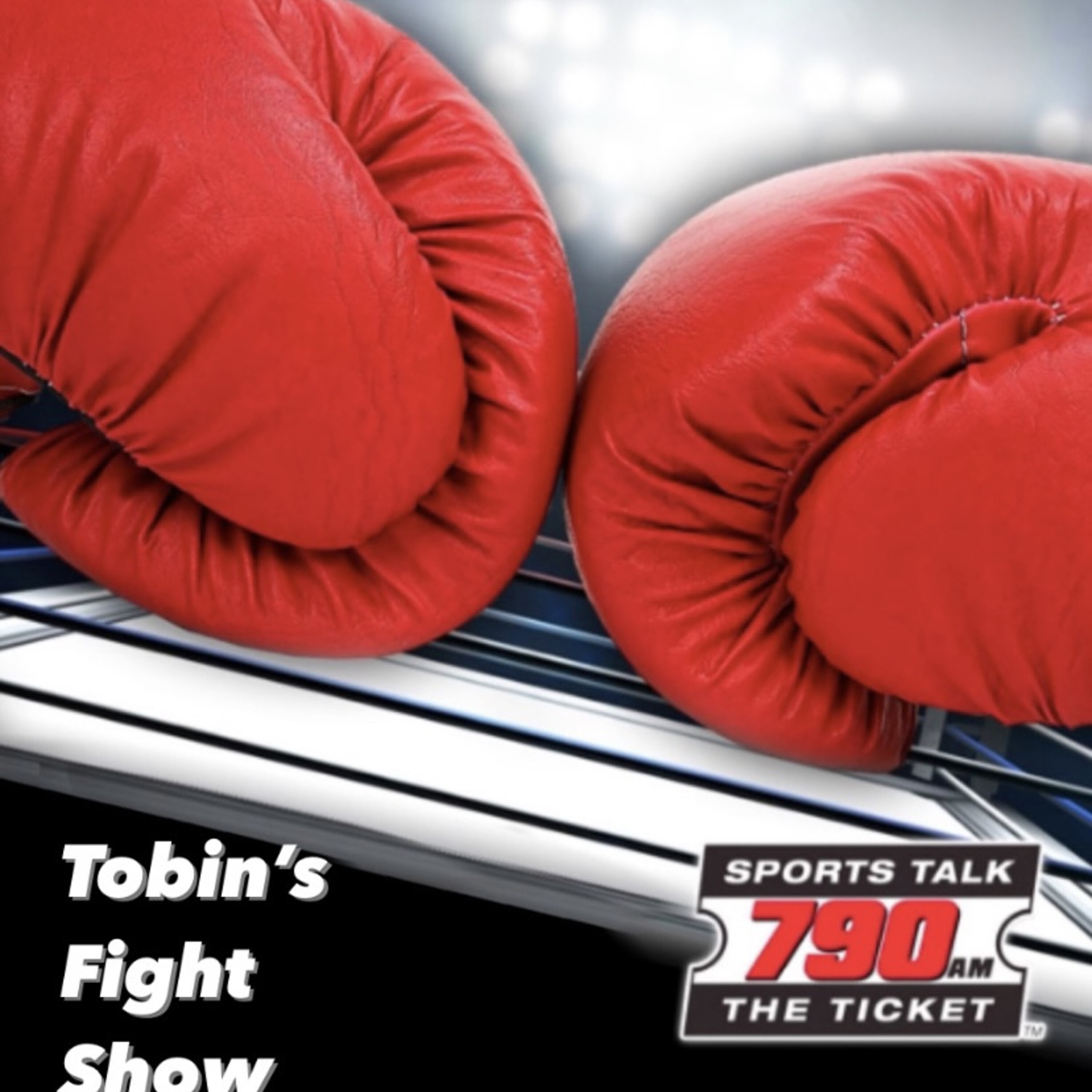 Tobin's Fight Show 12-5-2021 (Haney beats Diaz, UFC 269 Preview, Aldo back)