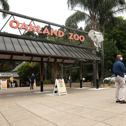 Voters will be able to decide on an annual property tax for the Oakland Zoo budget