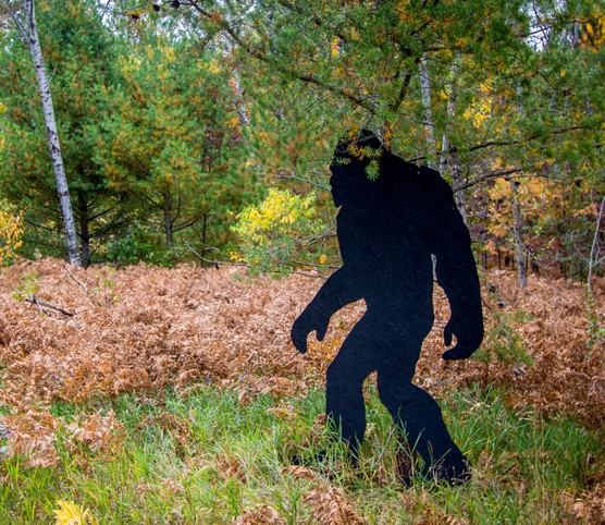 Is Bigfoot real? One expert says, "Oh! Absolutely!"