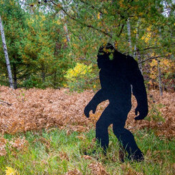 Is Bigfoot real? One expert says, "Oh! Absolutely!"