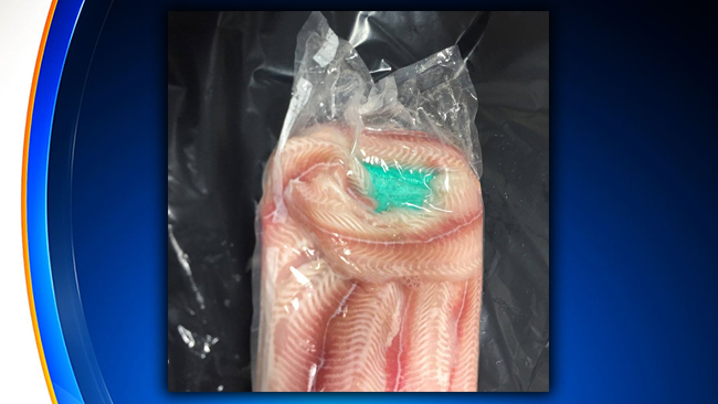Nearly 9 Pounds of Fentanyl Found Hidden In Wrapped Fish