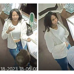 Police in Oakland County looking for woman who stole identity, bought over $12K worth of jewelry, new phone