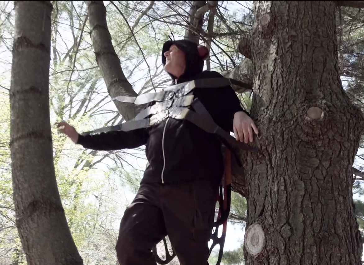 DuPage County Forest Preserve goes all in on cicada awareness videos