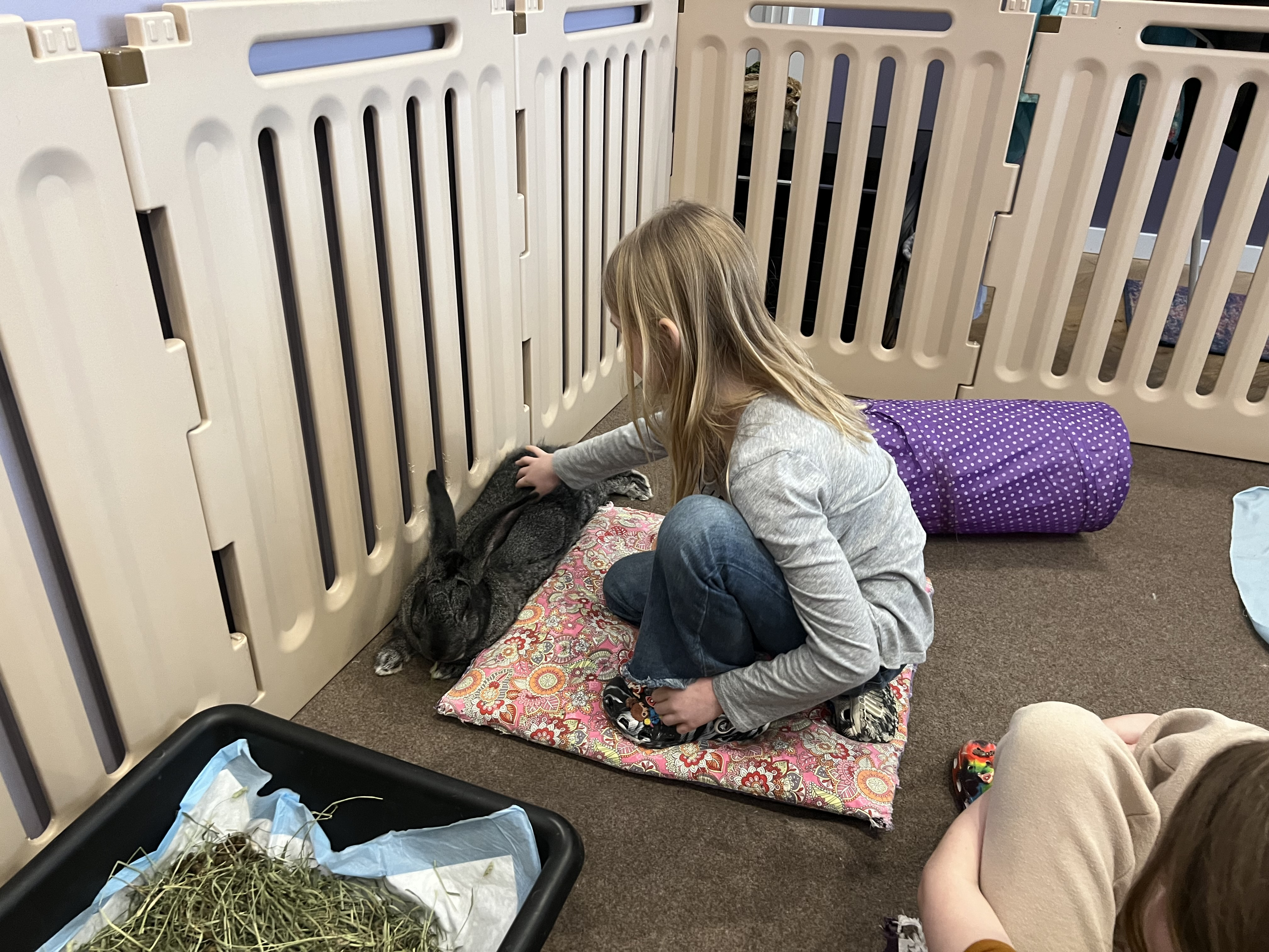 Therapeutic space allows visitors to relax and de-stress by cuddling  bunnies