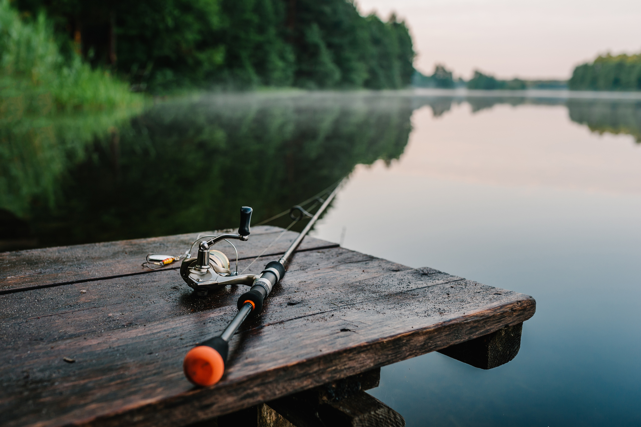 Will Minnesota lead the way in the "Lead Free Angling" movement?