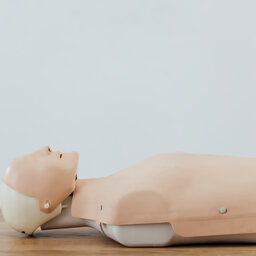 CPR Mannequins Now Target of Woke Politics