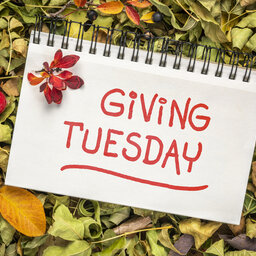 GIVING TUESDAY: Pope Francis Center