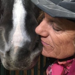 A Veteran's Story Of Equine Therapy