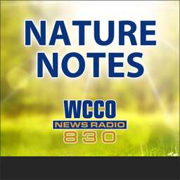 5-27-18 Nature Notes