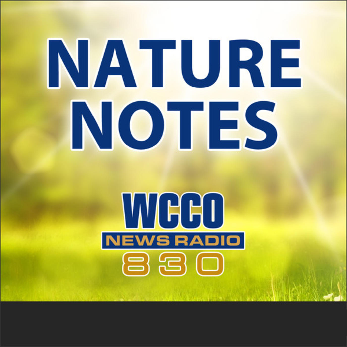 08-05-18 Nature Notes