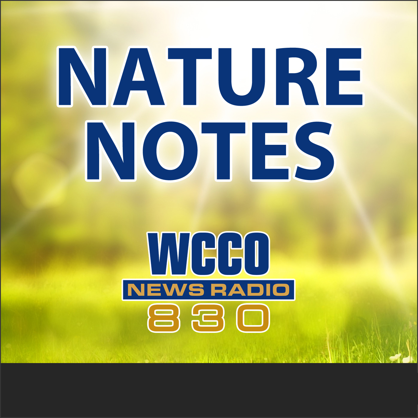 NATURE NOTES 4-14-19