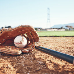 Stay updated with baseball season with this app