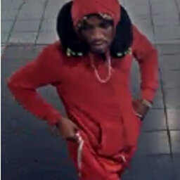 Police search for suspect in brutal Financial District attack on 73-year-old woman