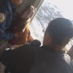 Video shows officer punching woman fighting off police