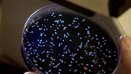 Outbreak Of Legionnaires' Disease Detected In Flushing