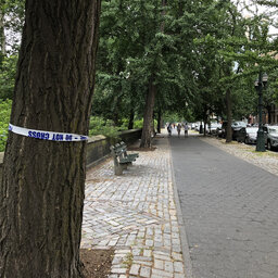 Bicycling gunman shoots 2 men sitting on bench near Central Park