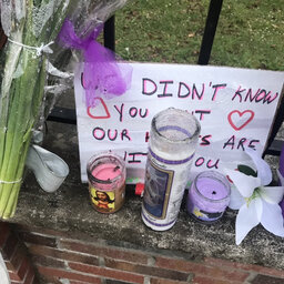 Slain NYC mom remembered as tragic details emerged