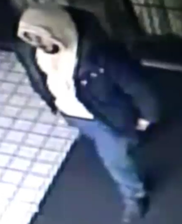 Police: Attempted Rape Suspect Caught On Video In Brooklyn