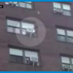 WATCH: Toddler climbs outside of 13th floor window, onto AC unit in Bronx