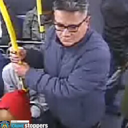 10-year-old girl groped by man on Manhattan bus
