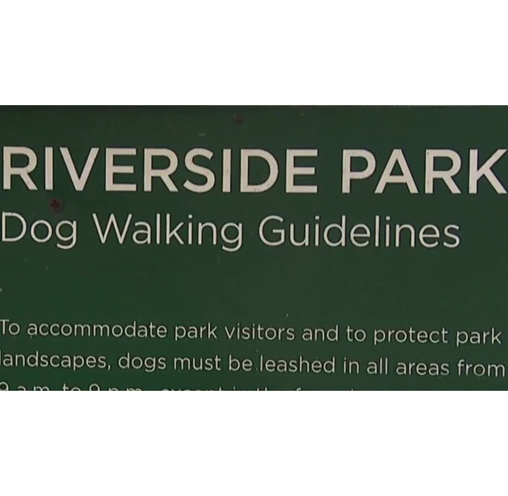 Pregnant Woman Punched By Stranger While Walking Dog In Riverside Park