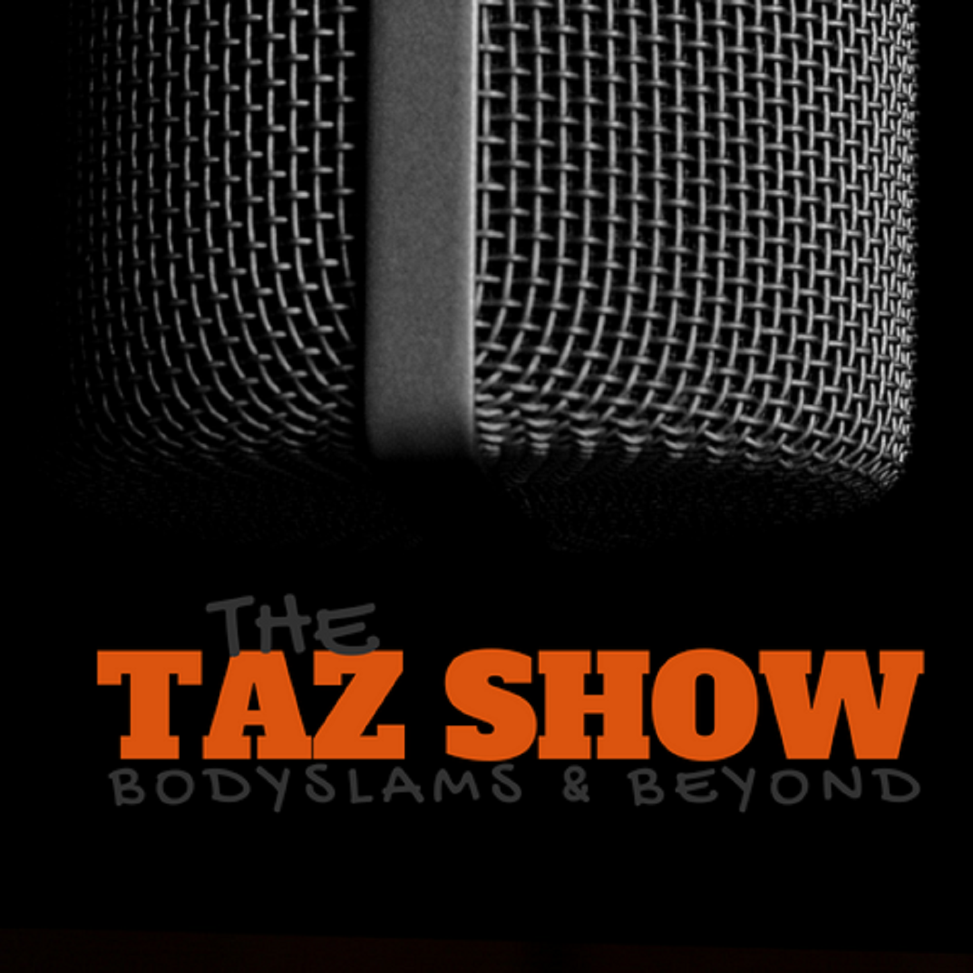 Taz Talks RAW!
