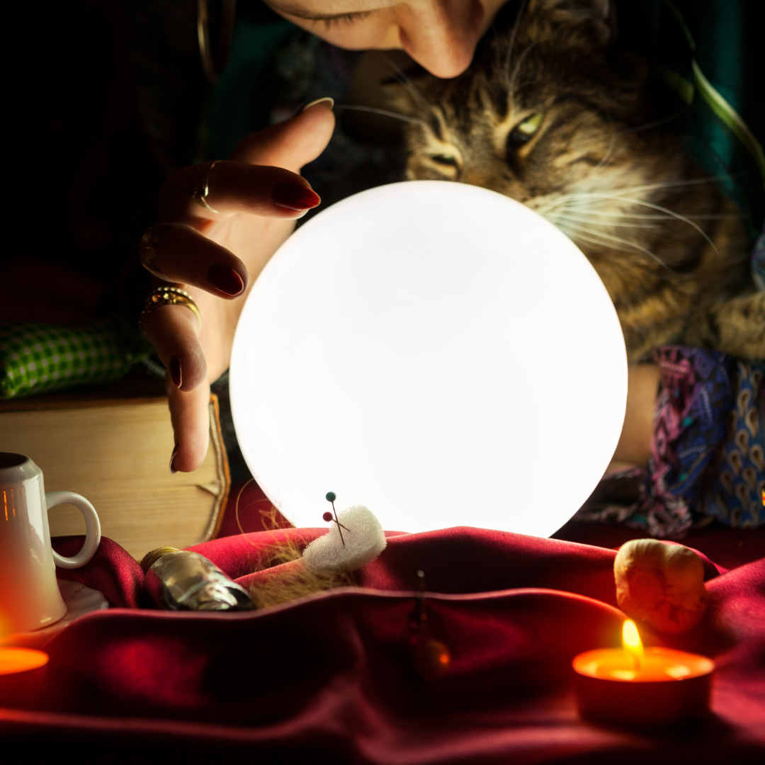Pet psychics are more popular now than ever