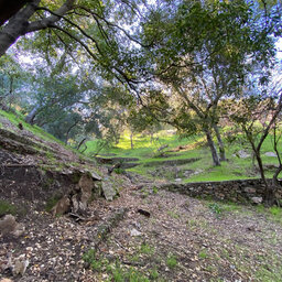Non-profit raising $1 million to buy and preserve land in Laurel Canyon