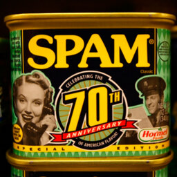 Spam is as popular as ever but why?